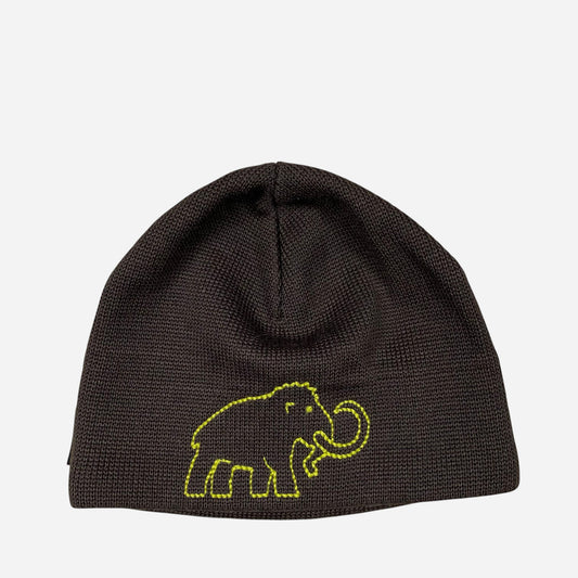 MAMMUT Meeste Müts Beanie